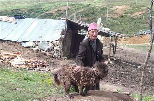 백마설산 길의 정상에서 만난 사람과 개. 해발 4300m에 가까운 이 높은 땅에서 사는 그의 삶은 어떤 것일까? 